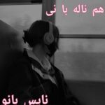 دانلود کتاب هم ناله با نی از مهدیه عشرتی
