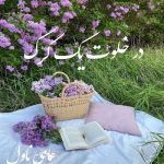 دانلود رمان در خلوت یک گرگ از فاطمه لطفی با لینک مستقیم