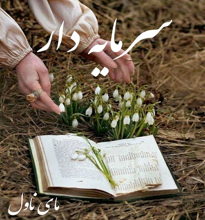سرمایه دار